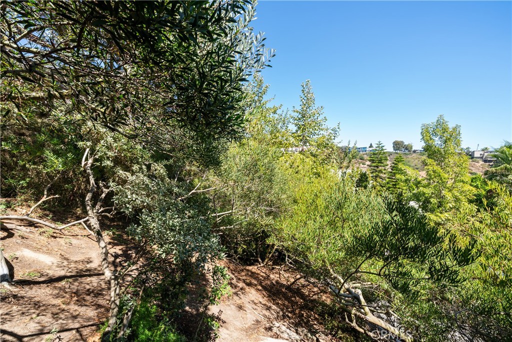 Deck view of the property hillside - 2210 Bridge, Laguna Beach CA 92651 - photo 29