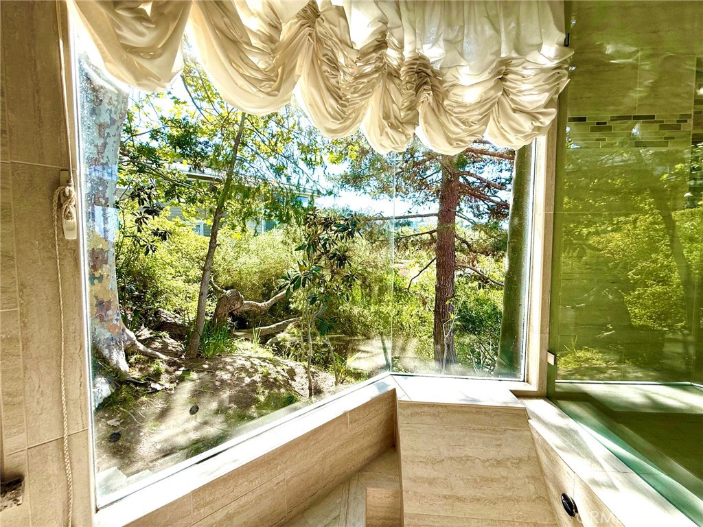 View from bathand shower - 2210 Bridge, Laguna Beach CA 92651 - photo 43