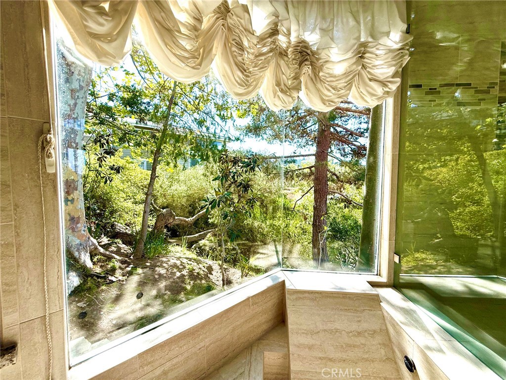 View from jacuzzi tub. shower - 2210 Bridge, Laguna Beach CA 92651 - photo 9