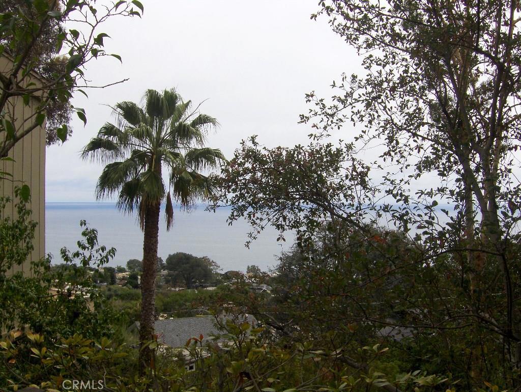 Amazing View from Patio of Studio - 22212 Paseo Del Sur, Laguna Beach CA 92651 - photo 1