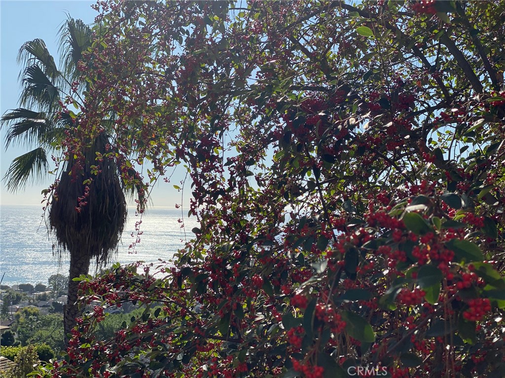 Views from Patio - 22212 Paseo Del Sur, Laguna Beach CA 92651 - photo 1