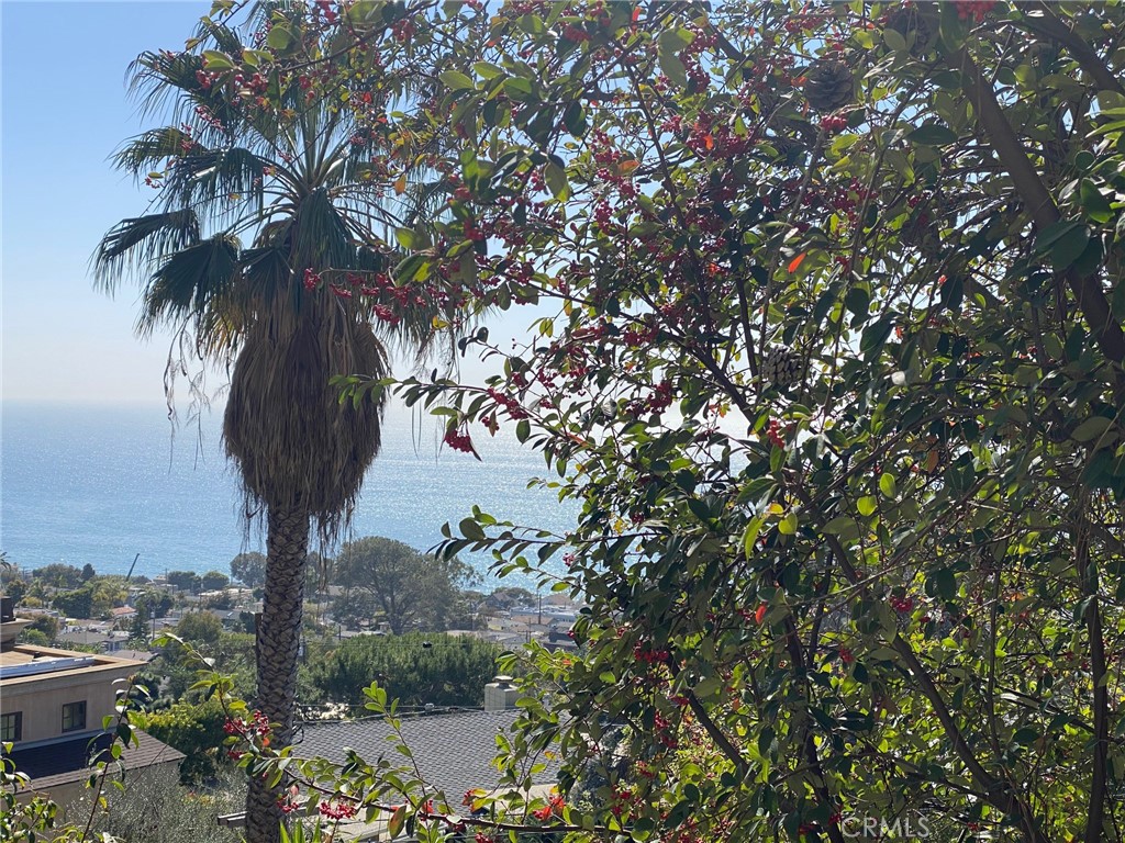 Ocean views - 22212 Paseo Del Sur, Laguna Beach CA 92651 - photo 1