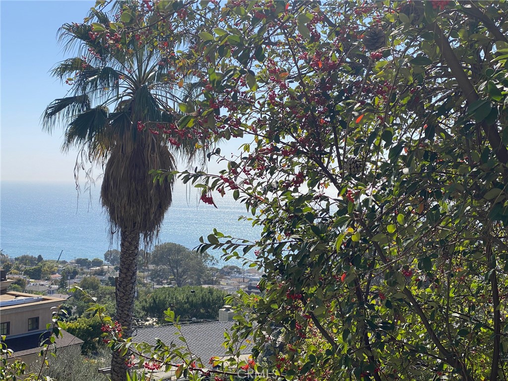 Amazing Ocean Views - 22212 Paseo Del Sur, Laguna Beach CA 92651 - photo 1