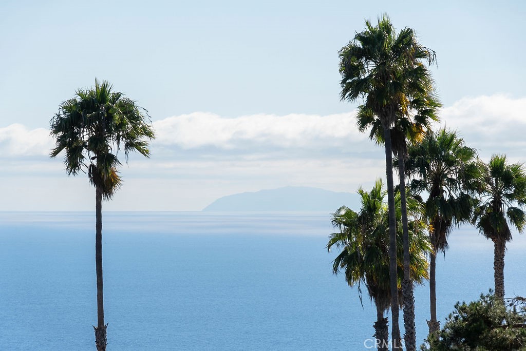 2315 Hillview, Laguna Beach CA 92651 - photo 8