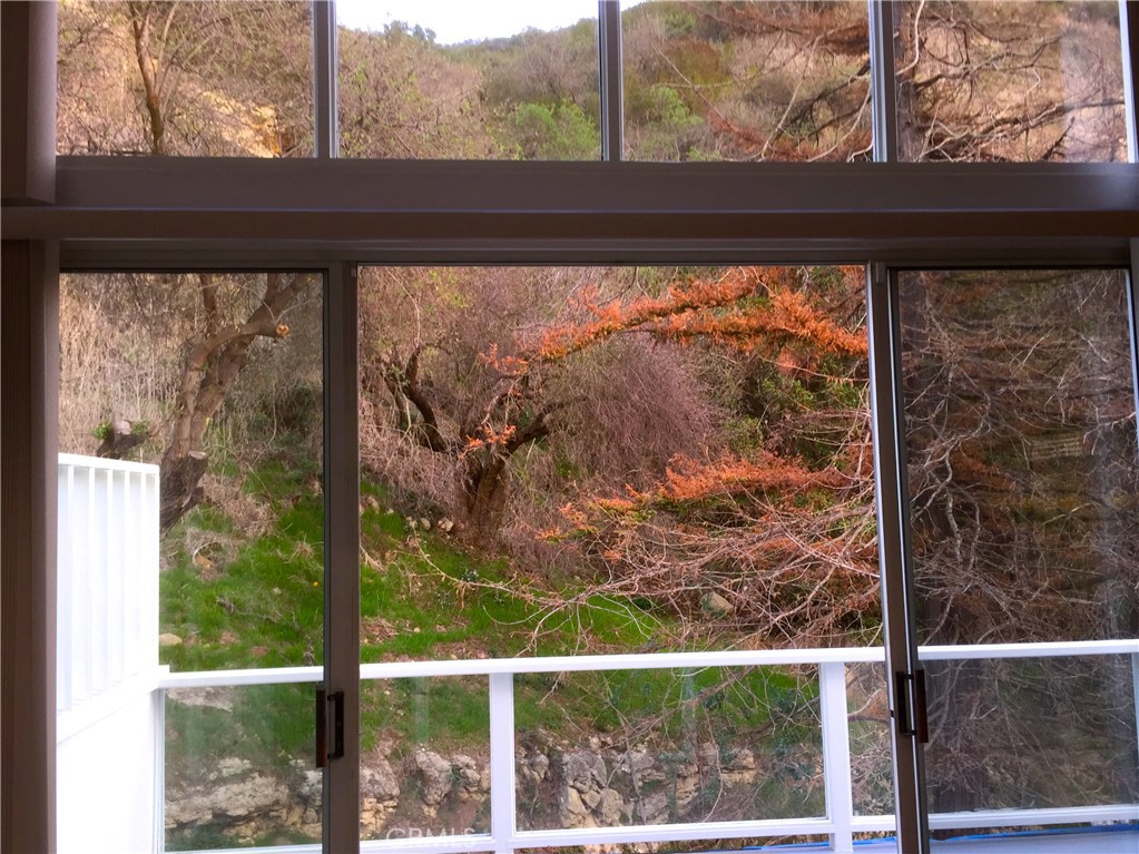 Fabulous view of Laguna Beach hillside nature - 2375 Laguna Canyon Road, Laguna Beach CA 92651 - photo 11
