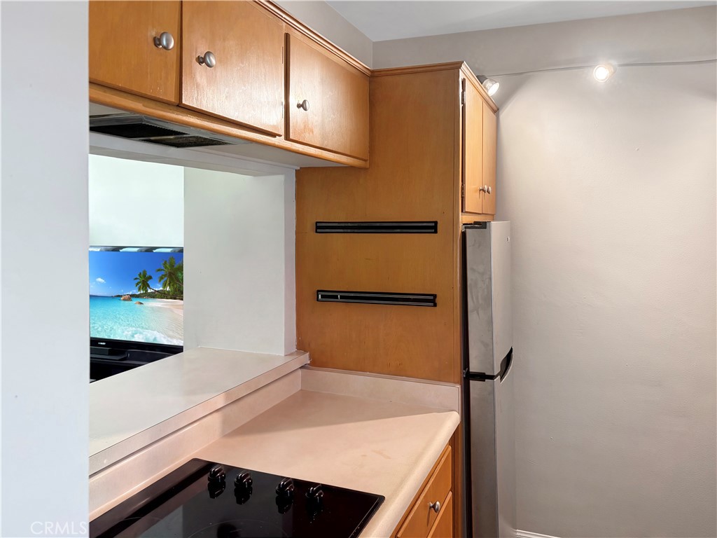 245 Aster 14, Laguna Beach CA 92651 - photo 5