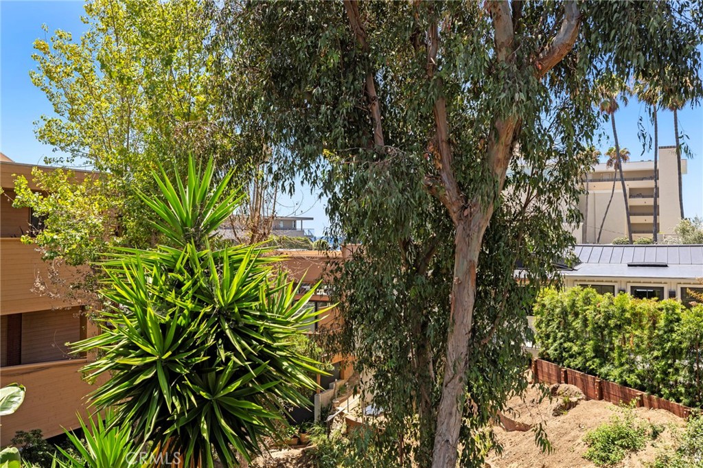 251 Calliope Street, Laguna Beach CA 92651 - photo 10