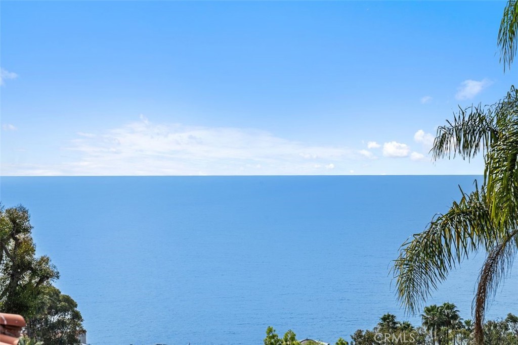 2616 Queda Way, Laguna Beach CA 92651 - photo 49
