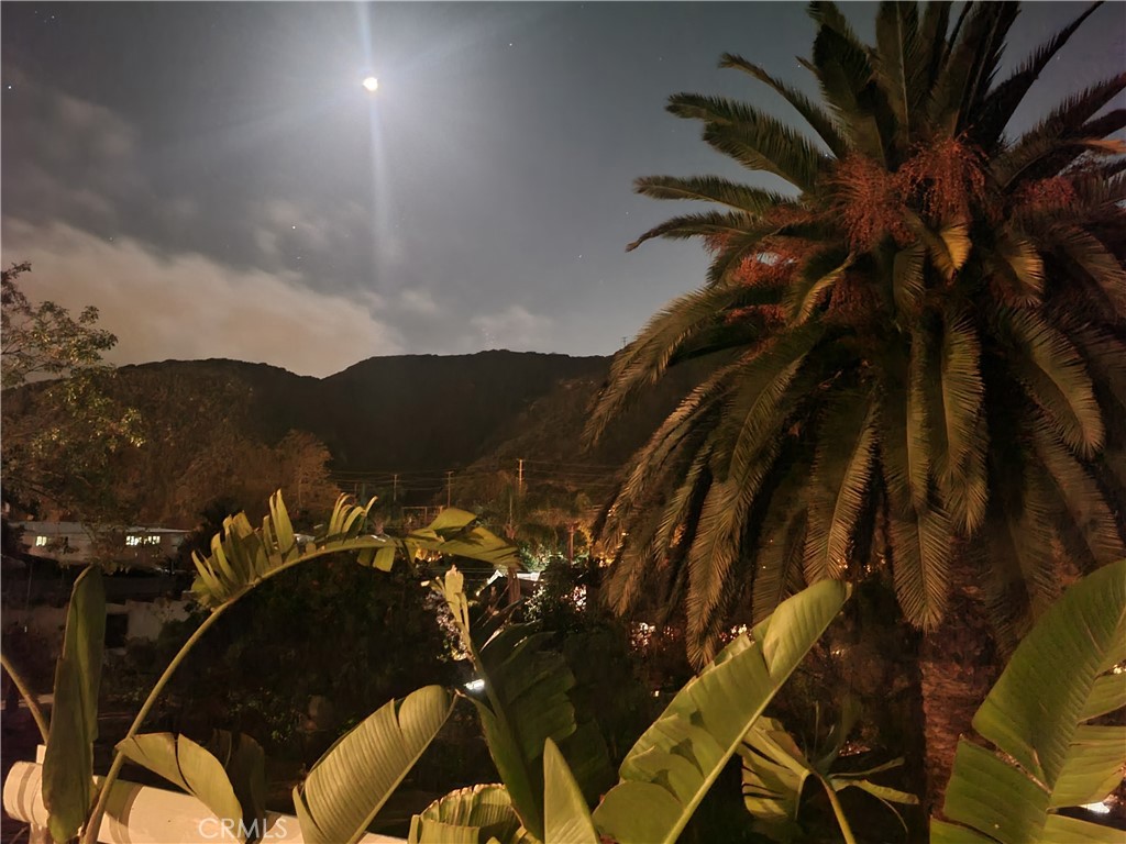 Under the moonlight. - 275 Woodland, Laguna Beach CA 92651 - photo 33
