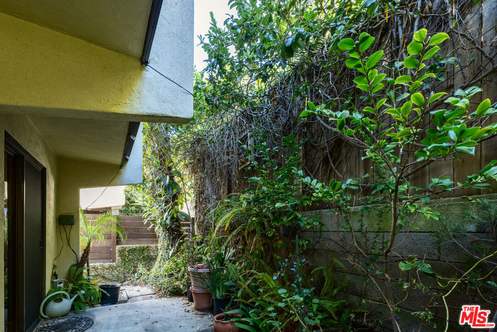 Backyard - 2856 S Coast Highway, Laguna Beach CA 92651 - photo 10