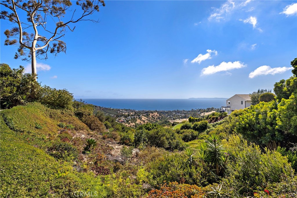 2869 Zell Drive, Laguna Beach CA 92651 - photo 33