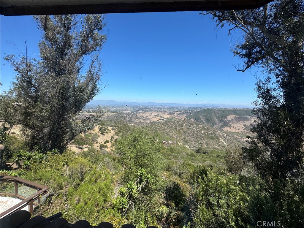 Views - 28912 Top Of The World Drive, Laguna Beach CA 92651 - photo 24