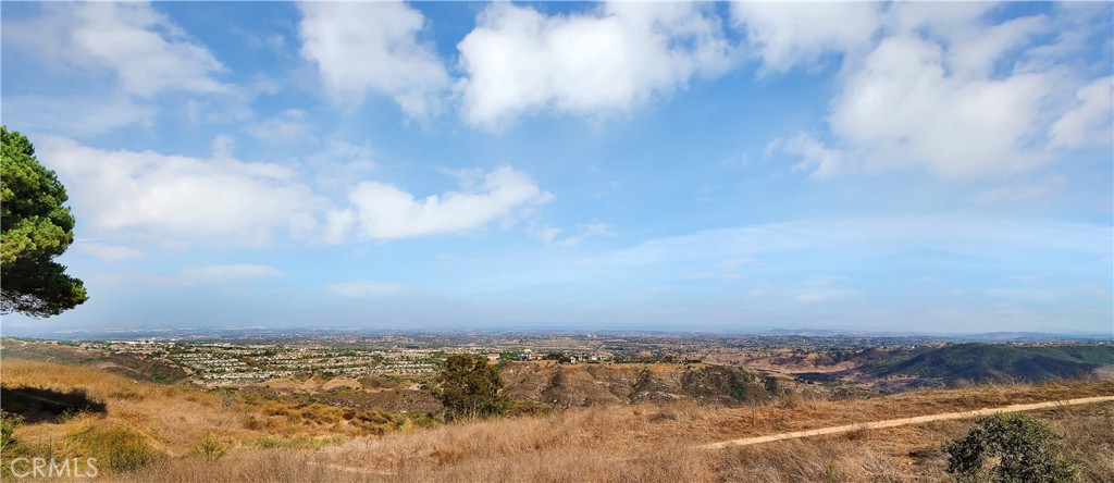 3064 Nestall, Laguna Beach CA 92651 - photo 32