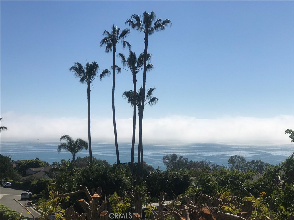 View from Master Bedroom - 30662 Marilyn Drive, Laguna Beach CA 92651 - photo 1