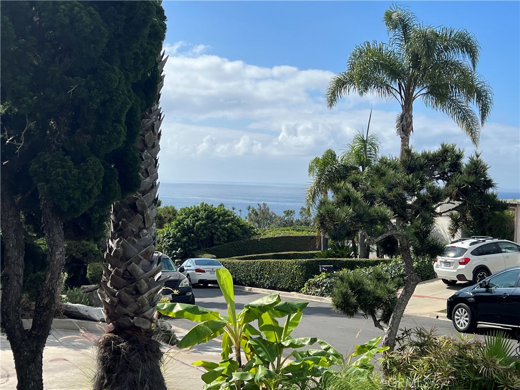 30702 Marilyn Drive, Laguna Beach CA 92651 - photo 18