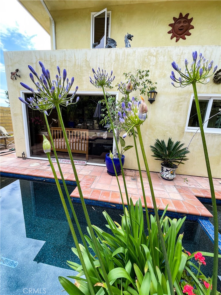 30722 Marilyn Drive, Laguna Beach CA 92651 - photo 36