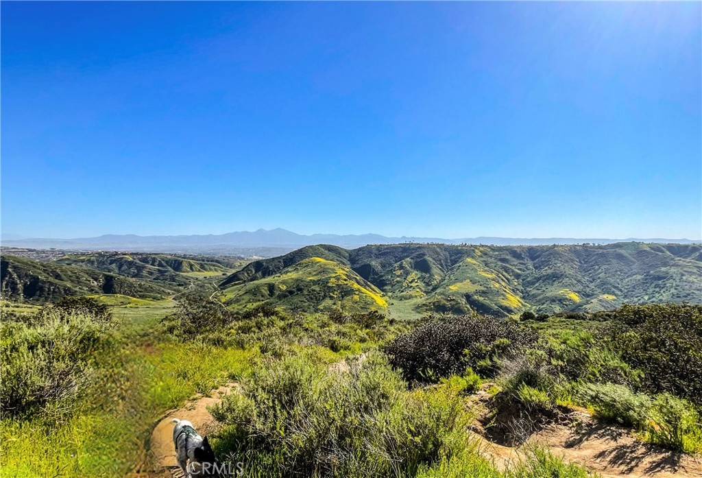 Nearby hiking trails - 30722 Marilyn Drive, Laguna Beach CA 92651 - photo 44