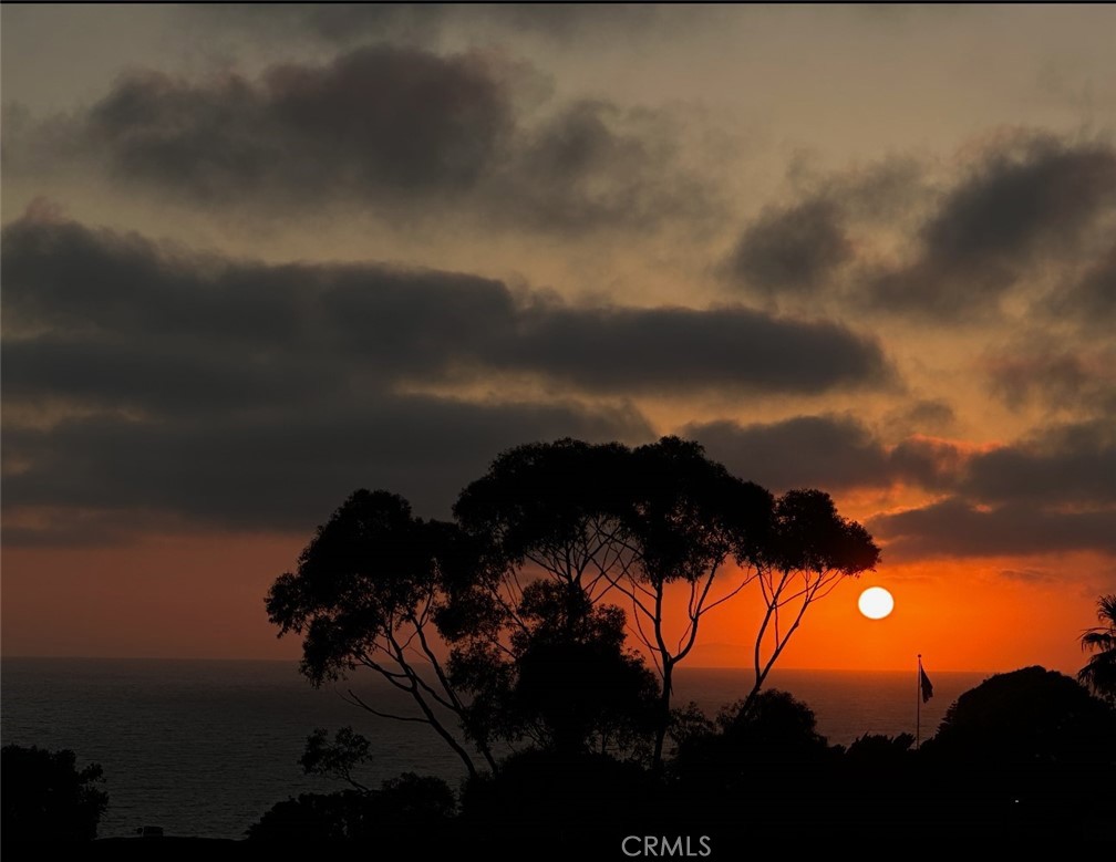 Another night in paradise - 30802 Coast C6, Laguna Beach CA 92651 - photo 4