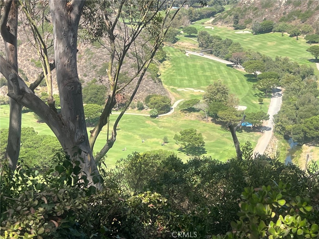 Golf Course is set in secluded canyon with nature abound - 30802 Coast F25, Laguna Beach CA 92651 - photo 22