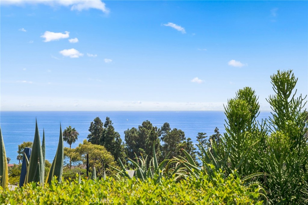 30841 Driftwood Drive, Laguna Beach CA 92651 - photo 7