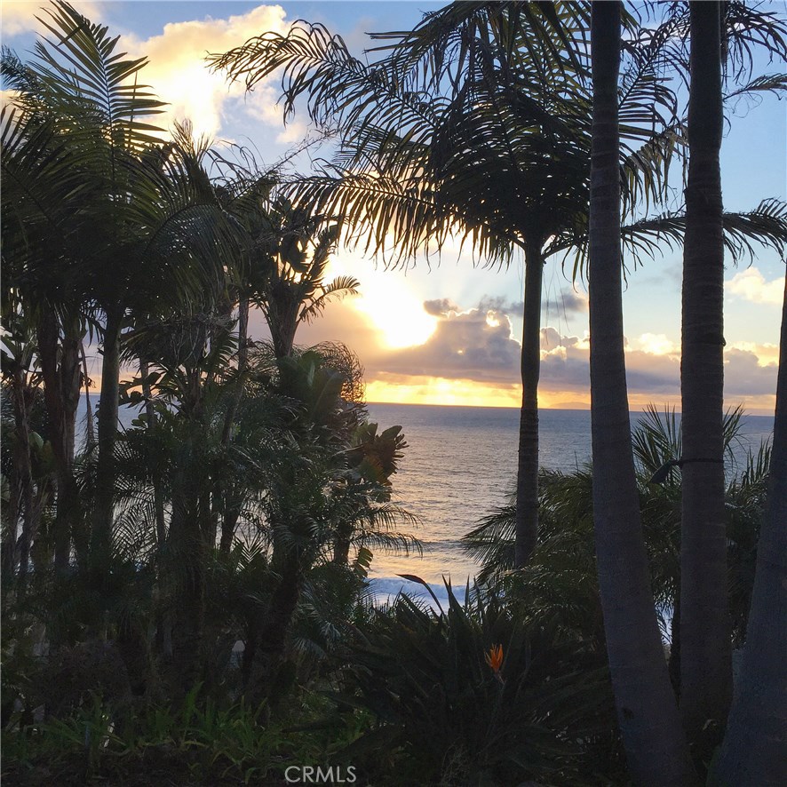 ACTUAL VIEW FROM THE DWONSTAIRS LEVEL AS YOU ENTER - 31162 Ceanothus Drive, Laguna Beach CA 92651 - photo 1