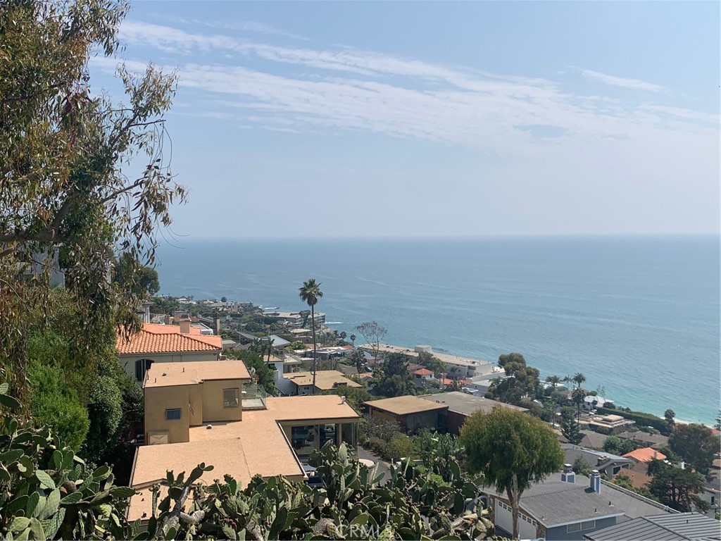 31180 Ceanothus Drive, Laguna Beach CA 92651 - photo 1