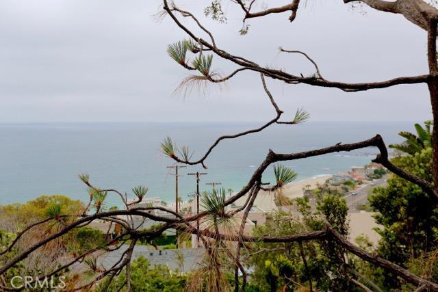 31181 Holly Drive, Laguna Beach CA 92651 - photo 1