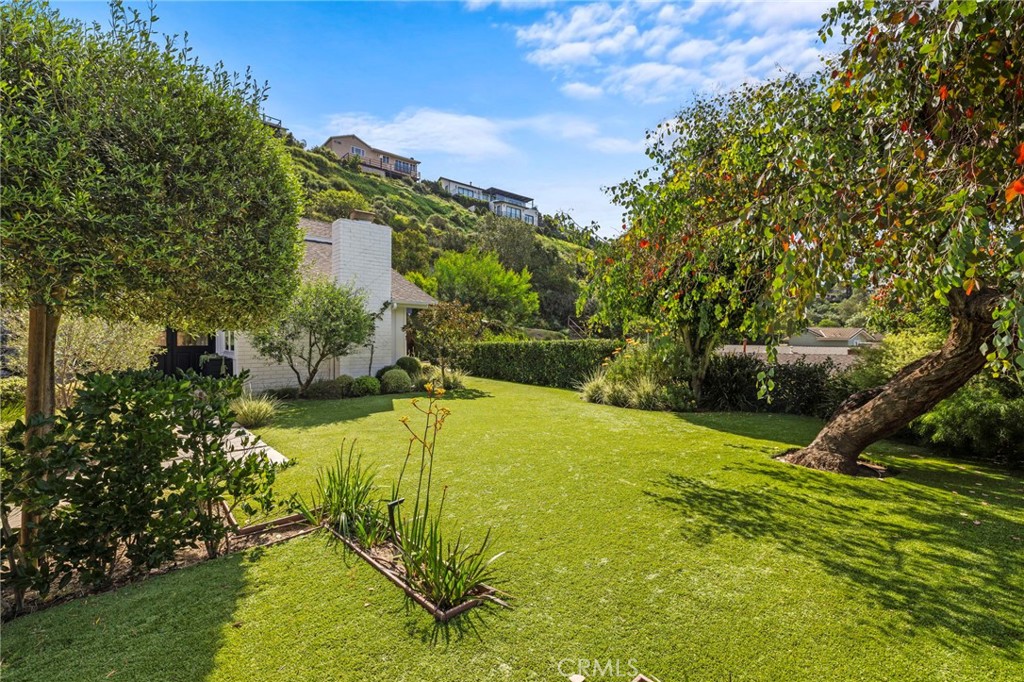Front yard spaces - 3121 Bern Drive, Laguna Beach CA 92651 - photo 39