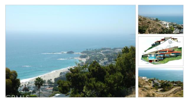 31362 Ceanothus, Laguna Beach CA - photo 1