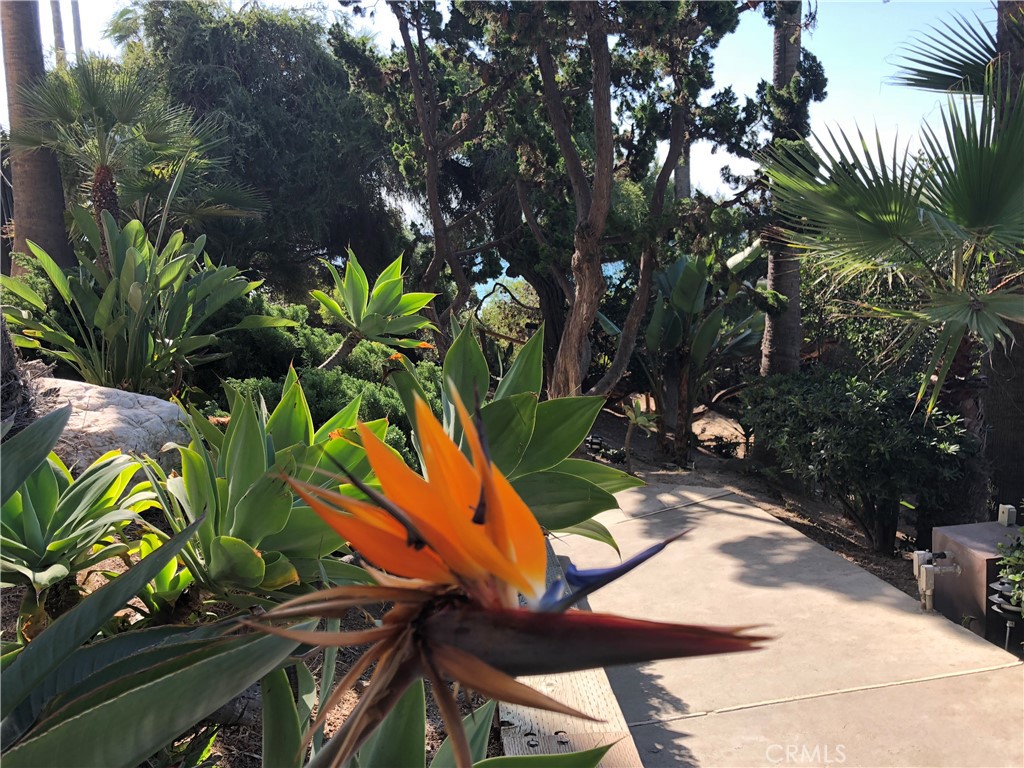 PATH TO PARADISE - 31423 Coast Highway S 12, Laguna Beach CA 92651 - photo 39