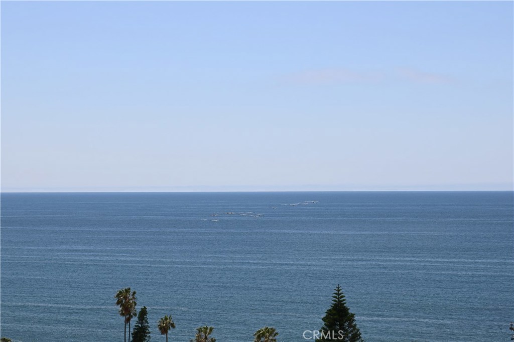 31442 Holly Drive, Laguna Beach CA 92651 - photo 1