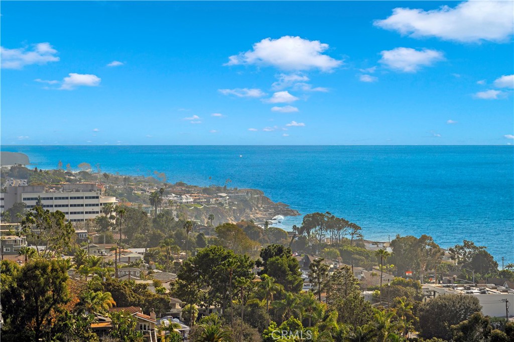 31460 Ceanothus Drive, Laguna Beach CA 92651 - photo 57