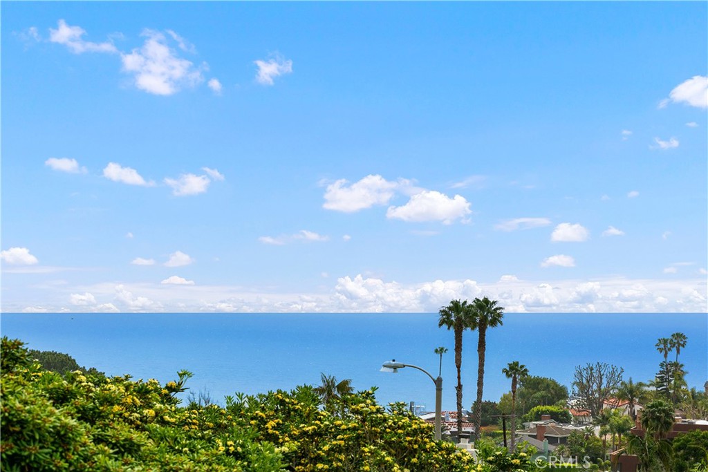 315 Ledroit Street, Laguna Beach CA 92651 - photo 1