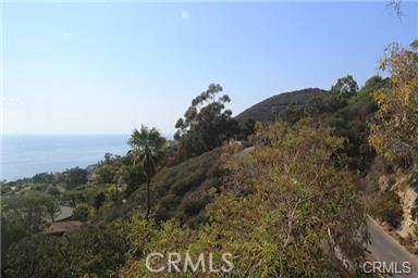 31500 Mar Vista Avenue, Laguna Beach CA 92651 - photo 1