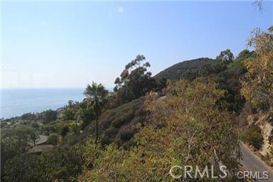 31500 Mar Vista Avenue Lower, Laguna Beach CA 92651 - photo 1