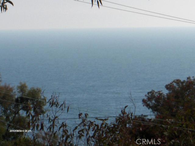31503 Shrewsbury Drive, Laguna Beach CA 92652 - photo 1