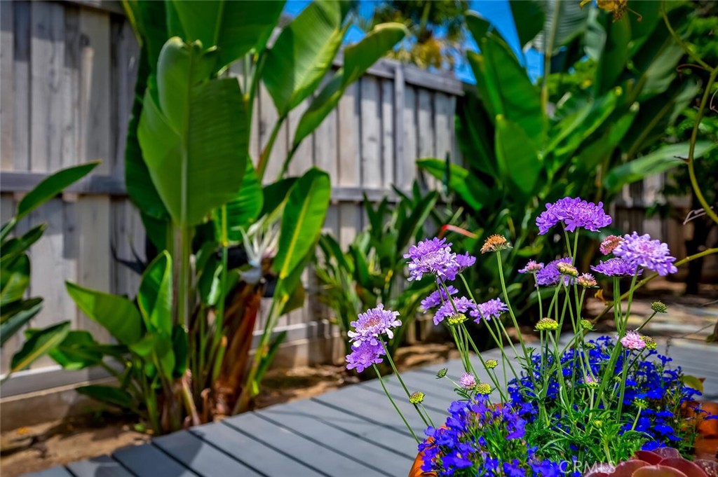 31521 Summit Road, Laguna Beach CA 92651 - photo 5
