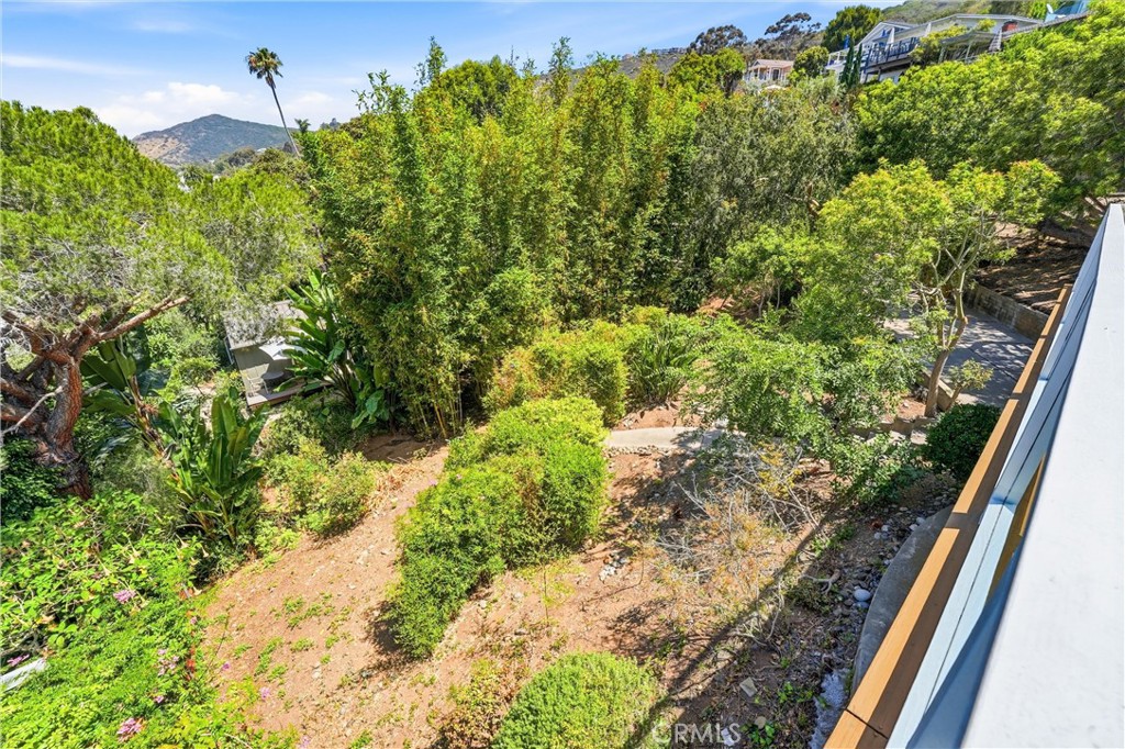 Your huge Japanese garden backyard - 32021 & 32001 sunset Avenue, Laguna Beach CA 92651 - photo 40