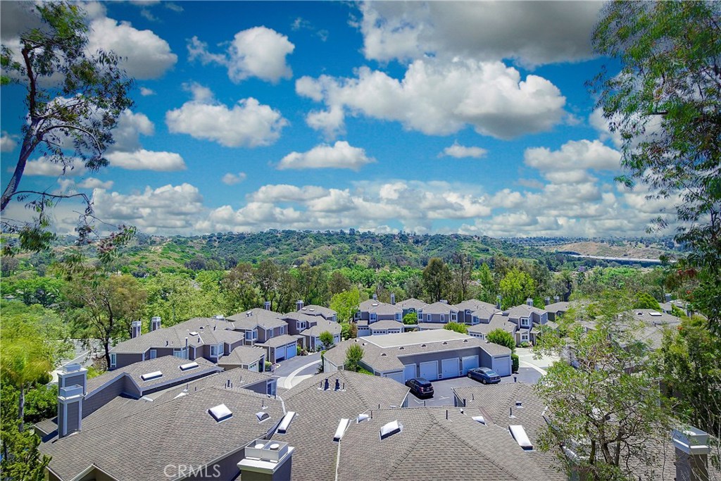 321 San Nicholas Court, Laguna Beach CA 92651 - photo 1