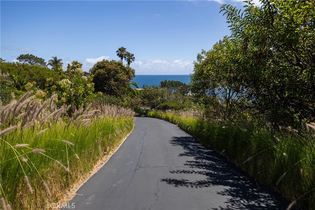 Private Driveway to 3 Residences - 32227 Coast Hwy, Laguna Beach CA 92651 - photo 3
