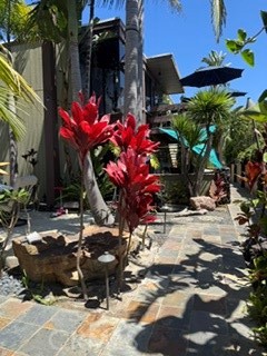 with all the lush greenery.... - 343 Myrtle Street B, Laguna Beach CA 92651 - photo 35