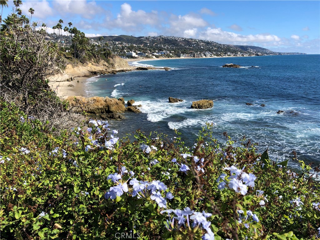 Heisler Park is at the bottom of the street and has lovely walking paths to downtown galleries and shops and beach coves - 455 Myrtle B, Laguna Beach CA 92651 - photo 8