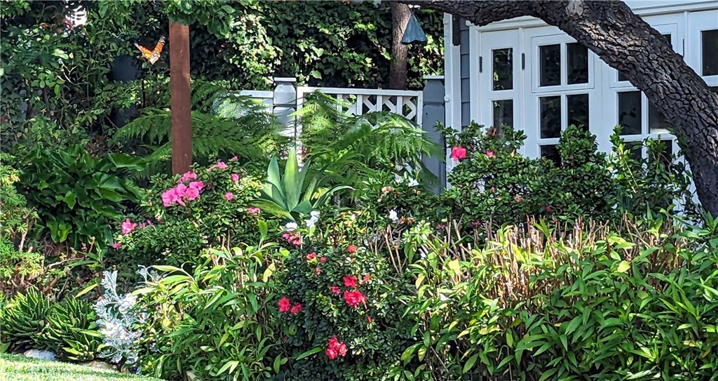 459 Jasmine Street, Laguna Beach CA 92651 - photo 47