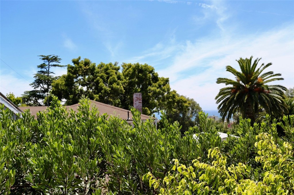 460 Saint Anns Drive, Laguna Beach CA 92651 - photo 17