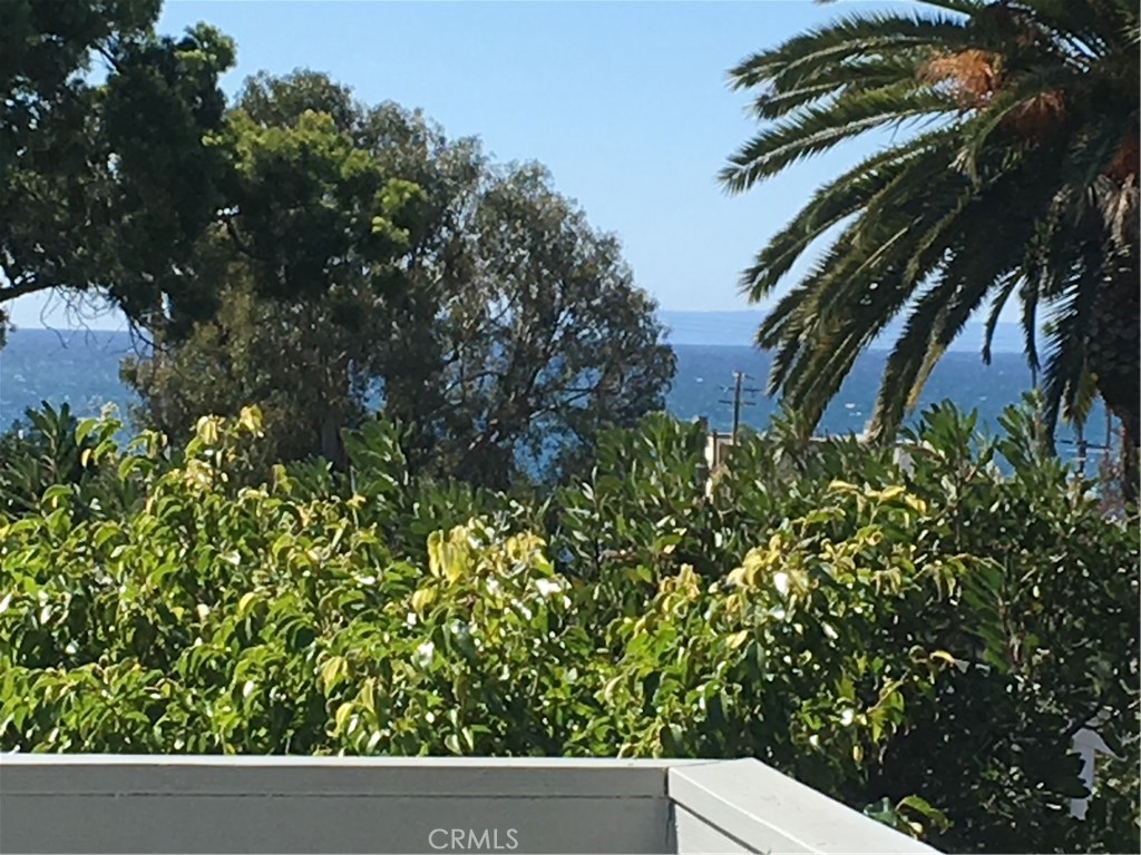 460 Saint Anns Drive, Laguna Beach CA 92651 - photo 19