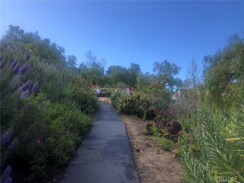 499 Nyes Place, Laguna Beach CA 92651 - photo 59