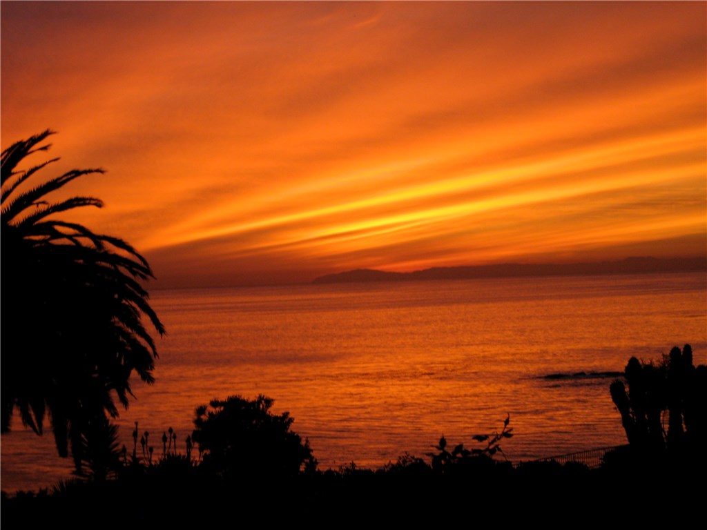 520 Cliff Drive 102, Laguna Beach CA 92651 - photo 1