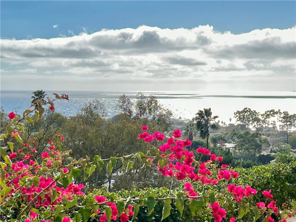 549 Mystic Way, Laguna Beach CA 92651 - photo 1