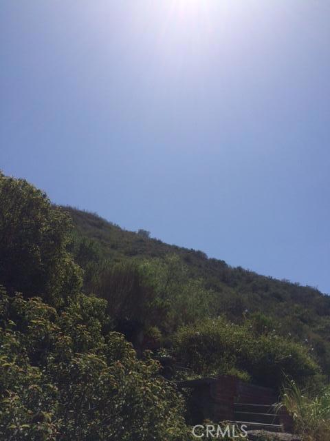 555 Canyon Acres Drive, Laguna Beach CA - photo 1