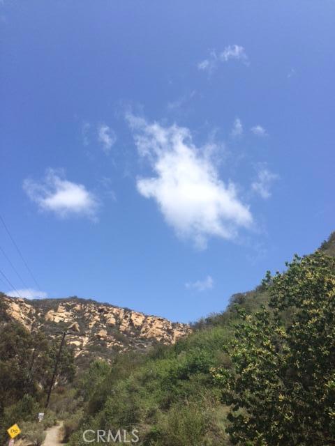 555 Canyon Acres Drive, Laguna Beach CA - photo 1